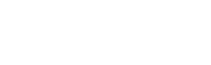 LOGO VIETMAP